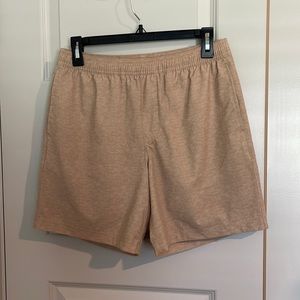 Chubbies Casual / Athletic shorts